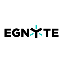 Egnyte Logo
