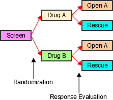 Trial 3 Study Schema